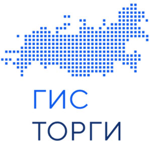 Лого torgi.gov.ru